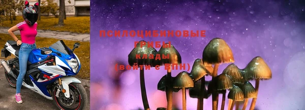apvp Абинск
