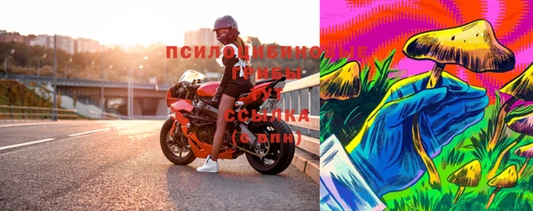 стафф Абаза