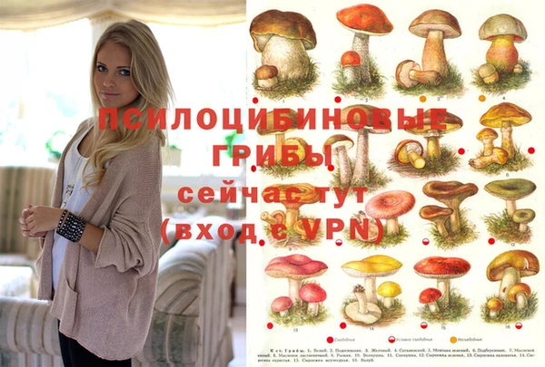 apvp Абинск