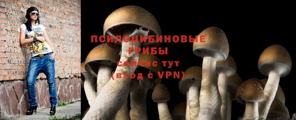 стафф Абаза