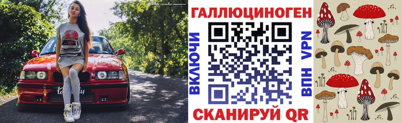 Псилоцибиновые грибы Psilocybe  кракен вход  Чегем 
